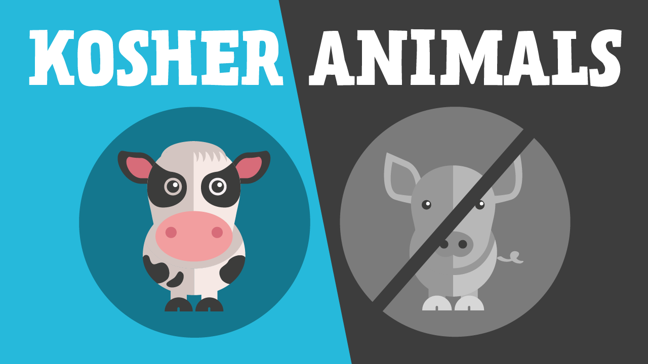 What is the meaning of Kashrut? Aleph Beta